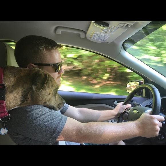 Meet your Posher, Brett - Picture 1 of 1